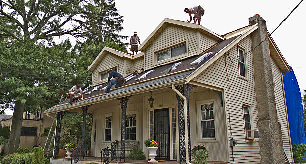 Best Storm Damage Roof Repair  in Powell, OH